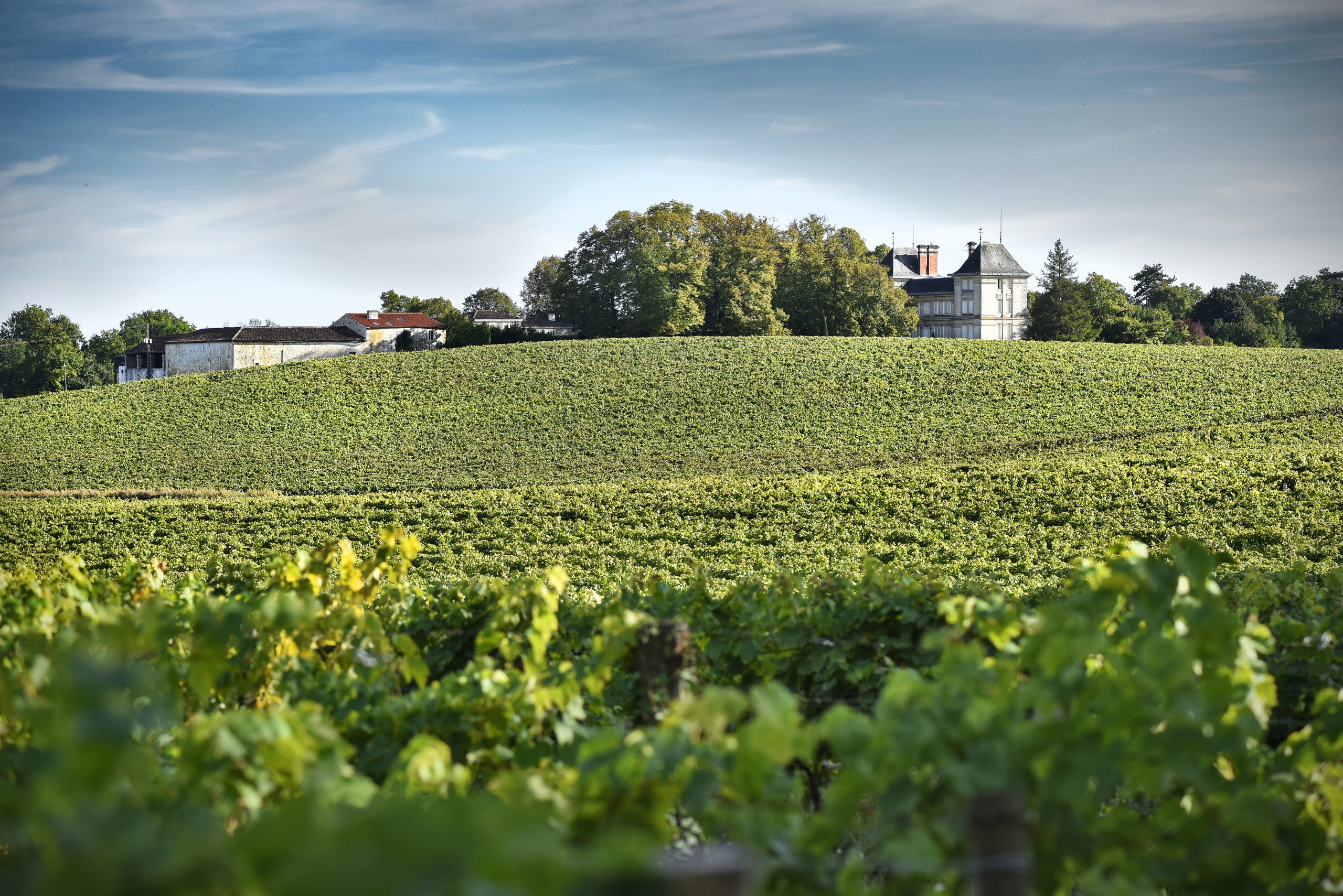 Vignoble Distillerie Cabanne et Fils