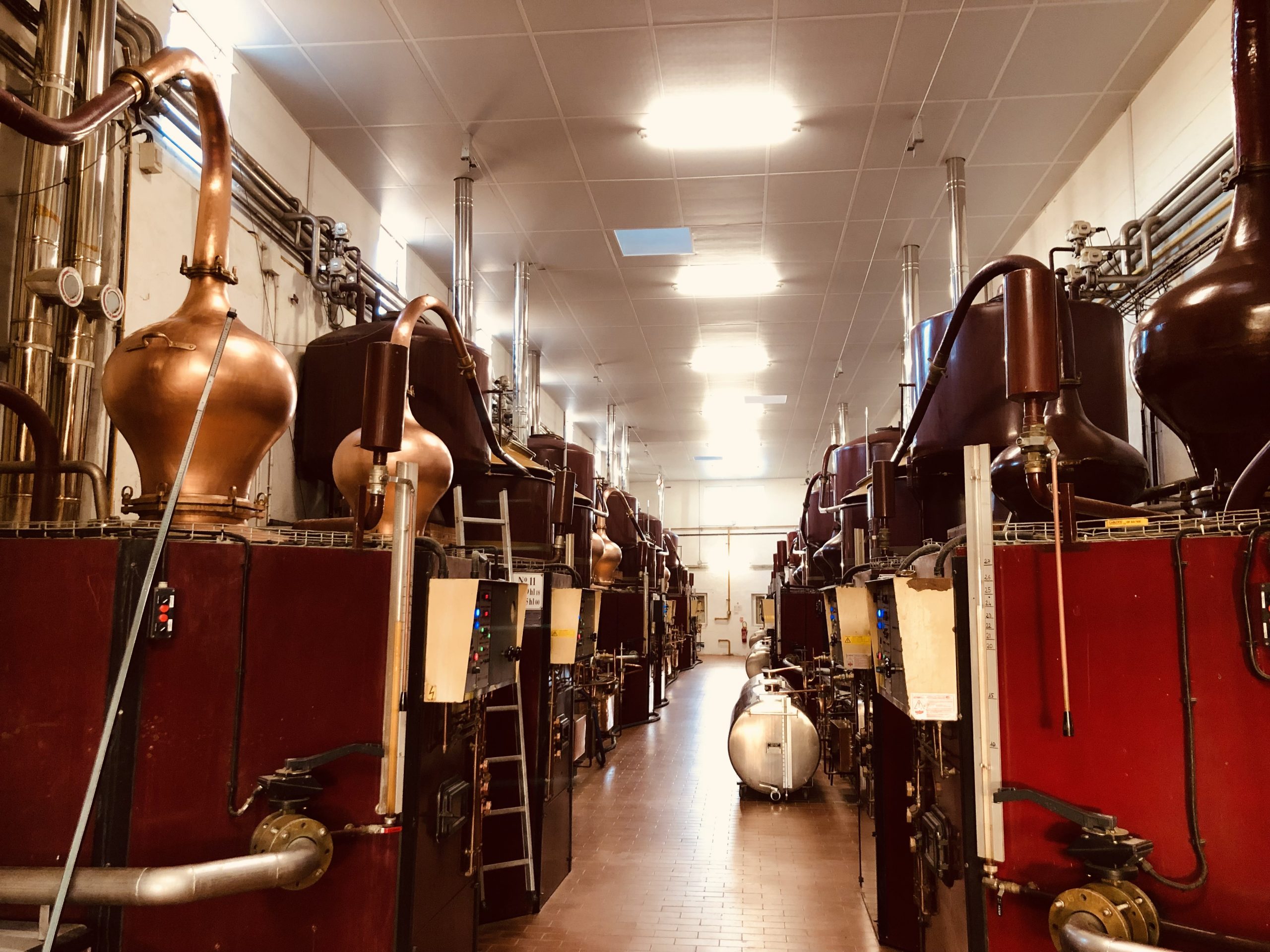 intérieur distillerie Cabanne